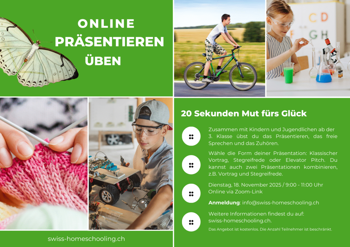 Online Präsentation Nov 2025